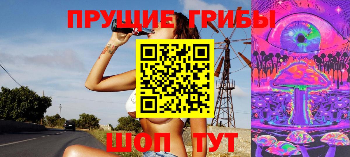 Псилоцибиновые грибы Cubensis Минусинск