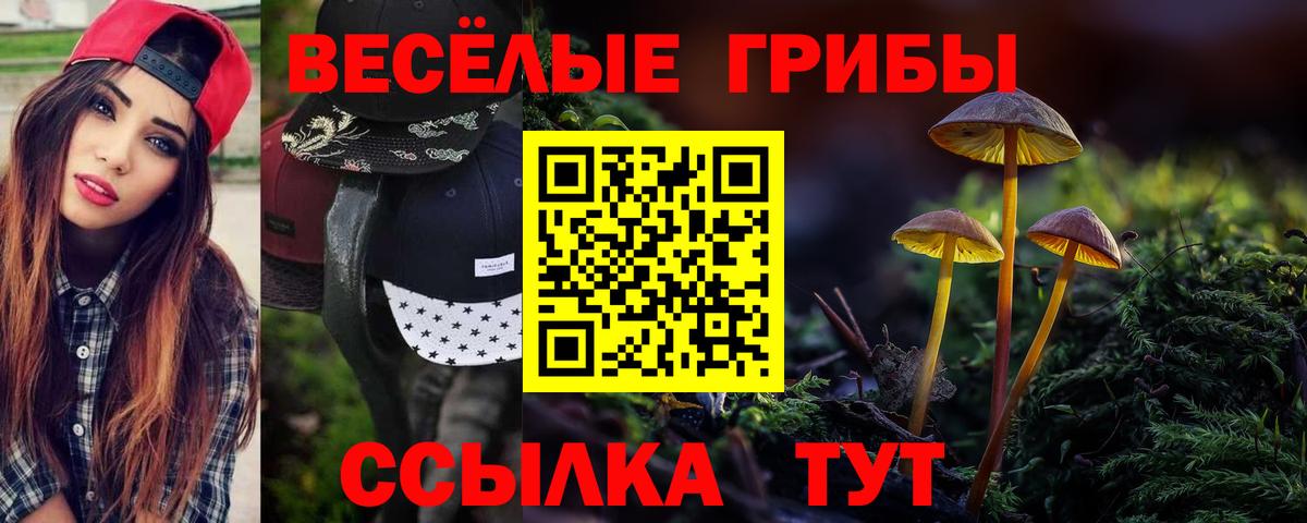 Минусинск  Псилоцибиновые грибы GOLDEN TEACHER  Вход с VPN 